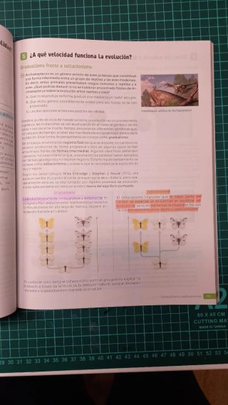 Biología y Geología, 4 Secundaria, Andalucía Re...