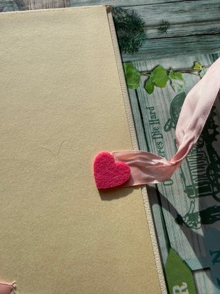 Album nascita orsetti rosa