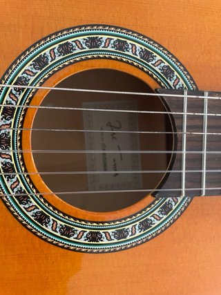 Guitarra Clásica José Torres JT-450 + Funda