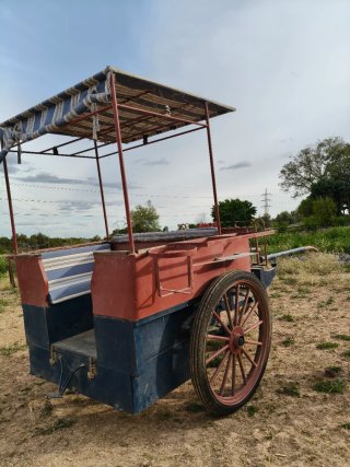 Carro de caballos antiguo