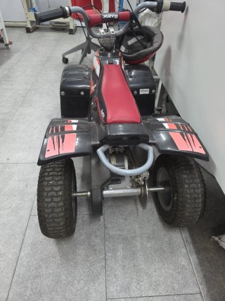 Quad Eléctrico Razor