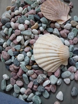 Piedras decorativas para acuario