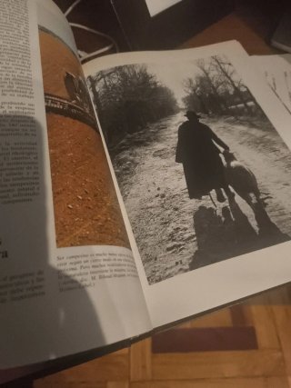 Enciclopedia de psicología.