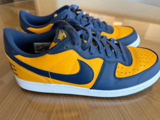 Zapatillas Nike Terminator Low Azul/Amarillo