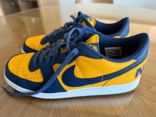 Zapatillas Nike Terminator Low Azul/Amarillo