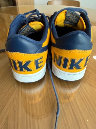 Zapatillas Nike Terminator Low Azul/Amarillo