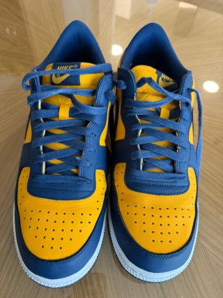 Zapatillas Nike Terminator Low Azul/Amarillo