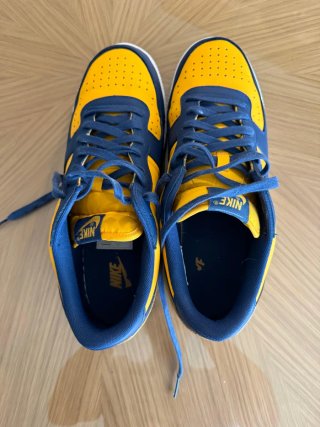 Zapatillas Nike Terminator Low Azul/Amarillo
