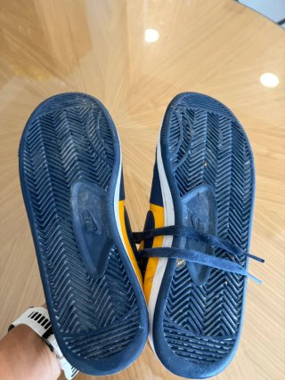 Zapatillas Nike Terminator Low Azul/Amarillo