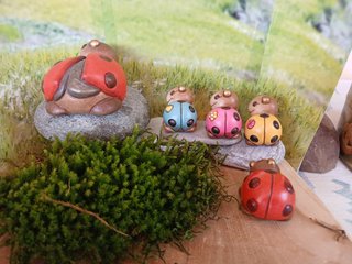 Thun Famiglia Coccinelle