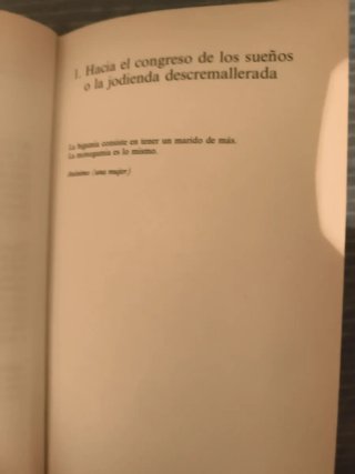 Miedo a Volar. Erica Jong.