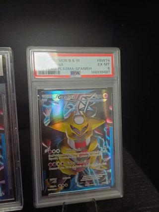 Pokemon B&W Team Plasma Giratina EX-MT PSA 6 POP 1