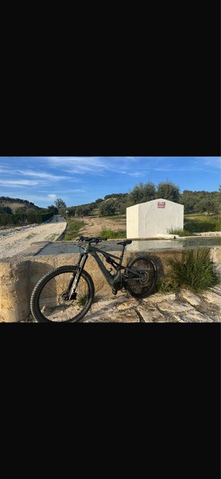 Specialized Turbo Levo