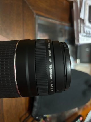 Canon EF 75-300mm f/4-5.6 III Objetivo
