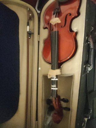 Viola de madera con estuche. Todas las medifas 1/2