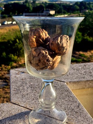 Copa cáliz de cristal alta 45 cm