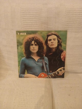 Vinilo T-Rex