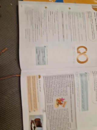 Lengua 5 Primaria