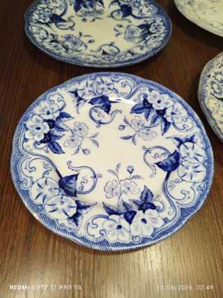 Set 9 Platos Antiguos Loza Francesa Azul Blanco