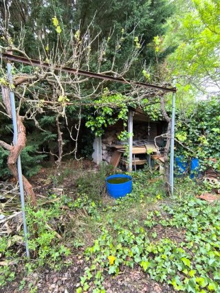 Terreno con casa rústica y chimenea