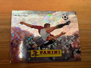 Cromo Panini Mundial 00