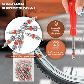 Kit Reparación Obuses de Válvula: 32 Piezas