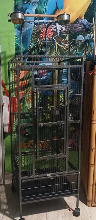 Jaula grande para loro