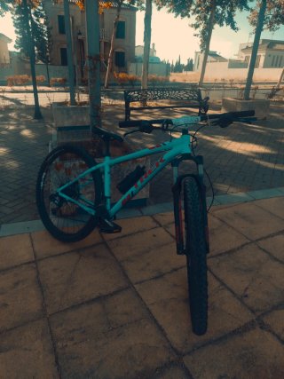 Bicicleta Trek 29