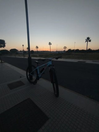 Bicicleta Trek 29