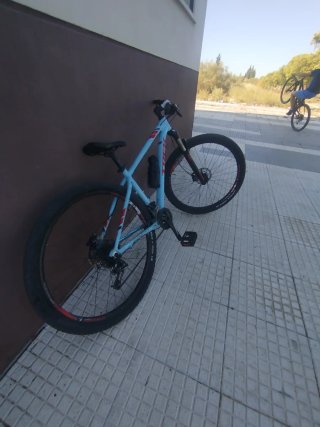 Bicicleta Trek 29