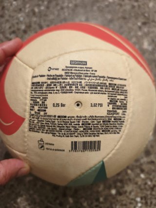 Pelota de Voley COPAYA BV900