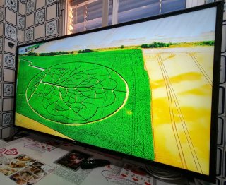 TV LG 50 4K UHD HDR10 Smart TV