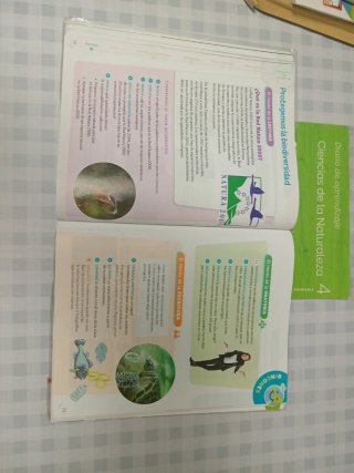 Ciencias de la Naturaleza, 4 Primaria, Proyecto...