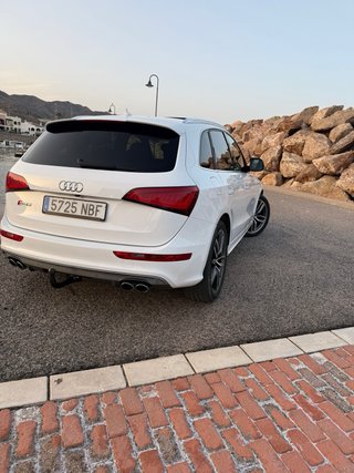 Audi SQ5 2016