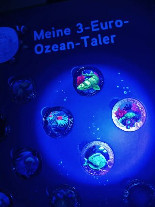 Conjunto 3€ Animales Luminosos Ozean-Taler