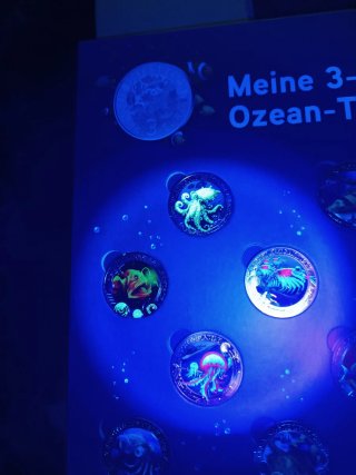 Conjunto 3€ Animales Luminosos Ozean-Taler