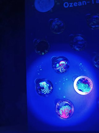 Conjunto 3€ Animales Luminosos Ozean-Taler