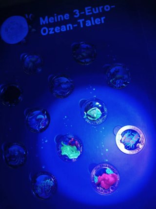 Conjunto 3€ Animales Luminosos Ozean-Taler