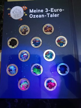 Conjunto 3€ Animales Luminosos Ozean-Taler