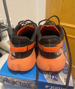 The North Face Altamesa 300