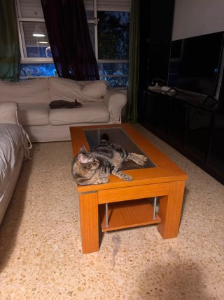 Muebles de salon