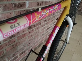 Bicicleta Cruiser Sirius Lusambo 26x2.0