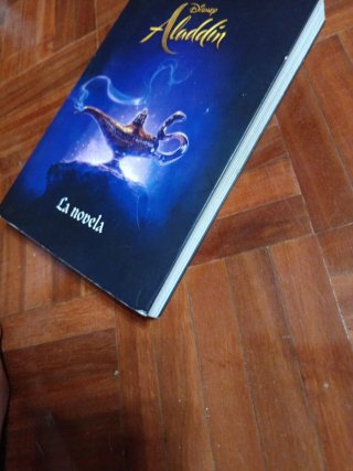 Aladdín : la novela