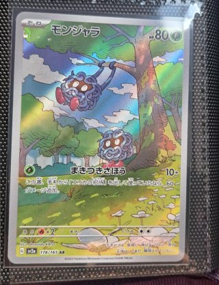 Lote Cartas Pokémon 151 Japonés