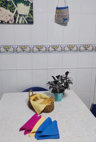 Guarda-servilletas lino bordado bielorruso+6 serv.