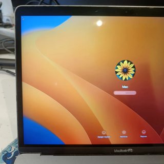 Pantalla SOLO PANTALLA MacBook Pro Retina A1708 20