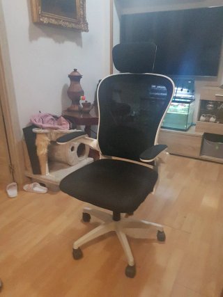 Silla Gaming Negra y Blanca