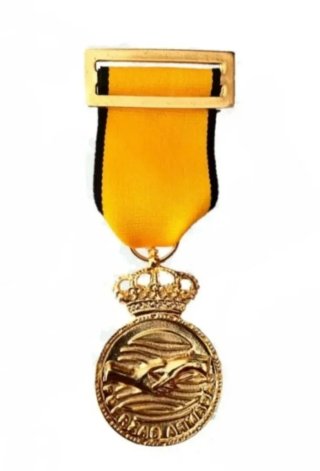 Medalla Conmemorativa DANA