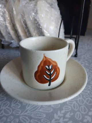 Juego de tazas de café con platillos