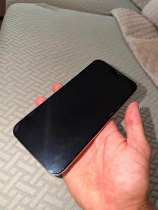iPhone 16 Pro Max Plata